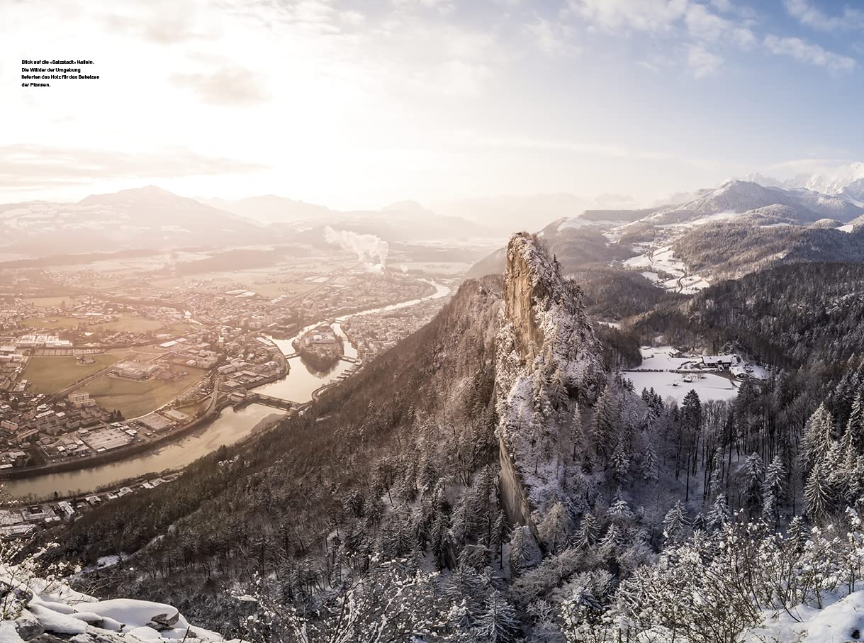 Der Alpenwald: Eine Natur- und Kulturbeschreibung aus 20 Perspektiven