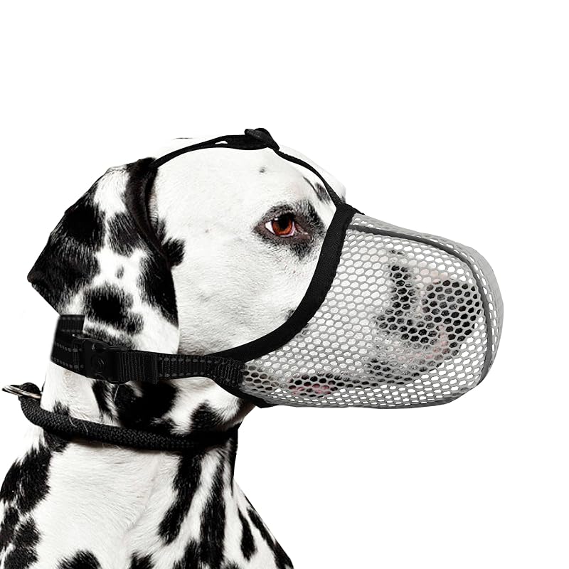 Focinheira para Cães em Nylon com Malha Respirável JOYPAWS GZT001 Grey L