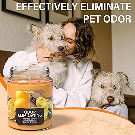 TRINIDa Orange & Vanilla Odor Eliminating Candles for Home Scented, Eliminates 99% of Pet, Smoke, Food and Other Smells Quickly, Highly Fragranced Candle, Premium Soy Candles Set for Women