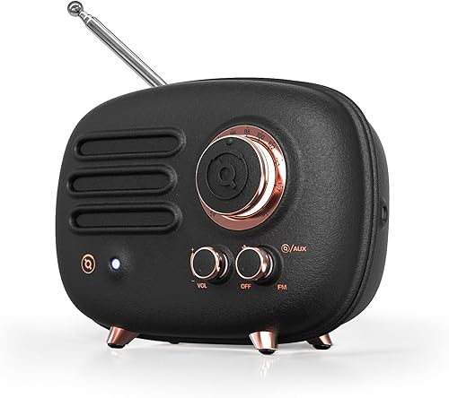 Muzen Altavoz Bluetooth de radio, radio de metal pequeña Wild Radiooo, altavoces inalámbricos portátiles, radio FM recargable, carcasa exterior de