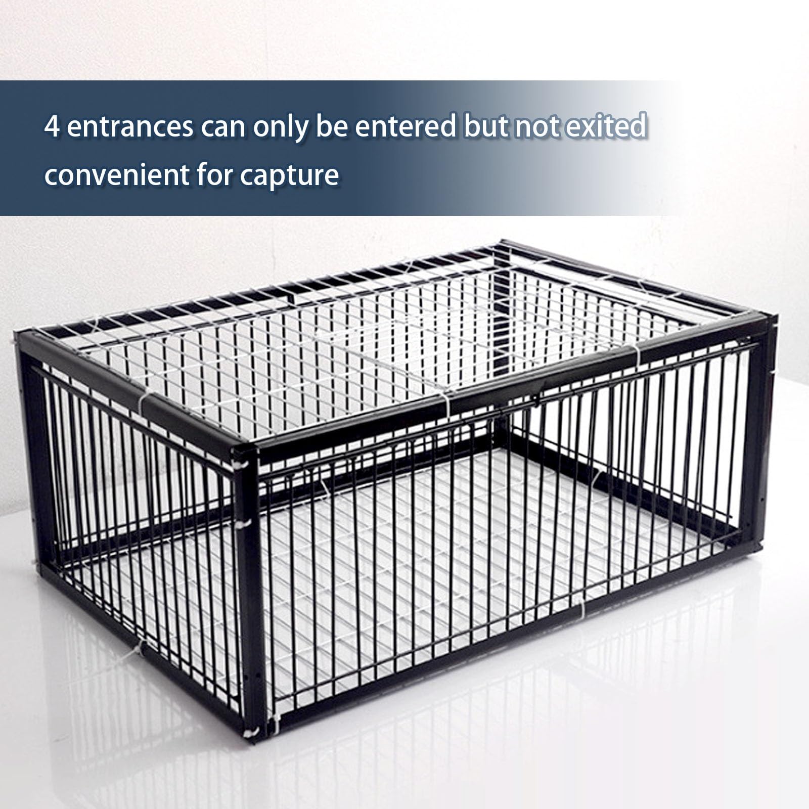 Trampa para pájaros vivos para palomas y gorriones, entrada unidireccional de cuatro canales, diseño antiescape, ideal para jardines, granjas y terrazas