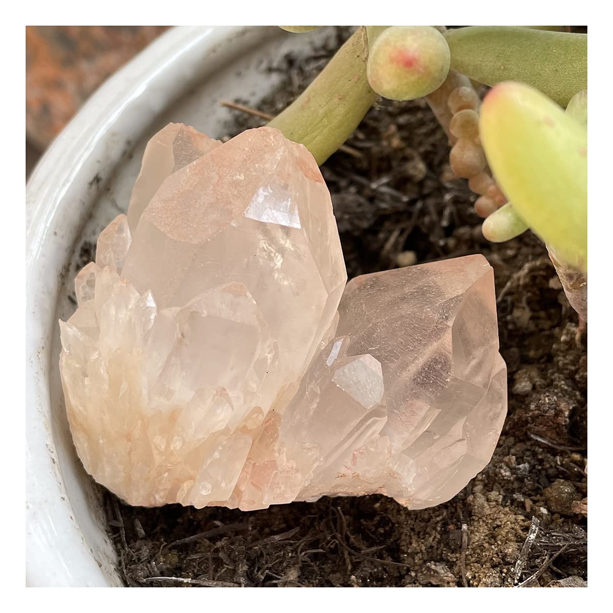 Espécimen mineral de cristal transparente y cuarzo naranja LQYXGS