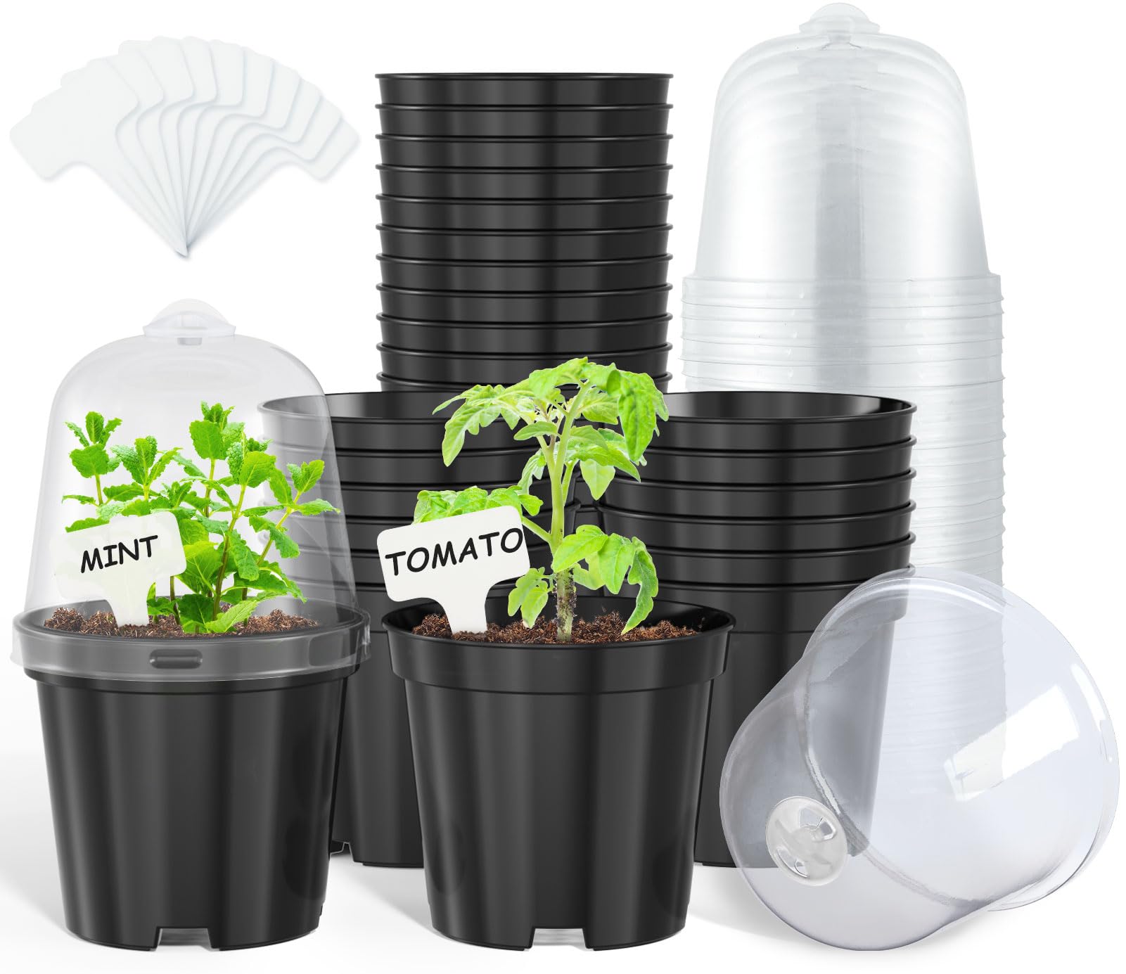 homenote 4 Inch Black Nursery Pots with Humidity Domes and Labels (30 Pcs)