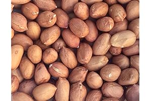 Pinstar's Premium Raw Red Skin Spanish Peanuts: A Nutritious and Flavorful Culinary Staple