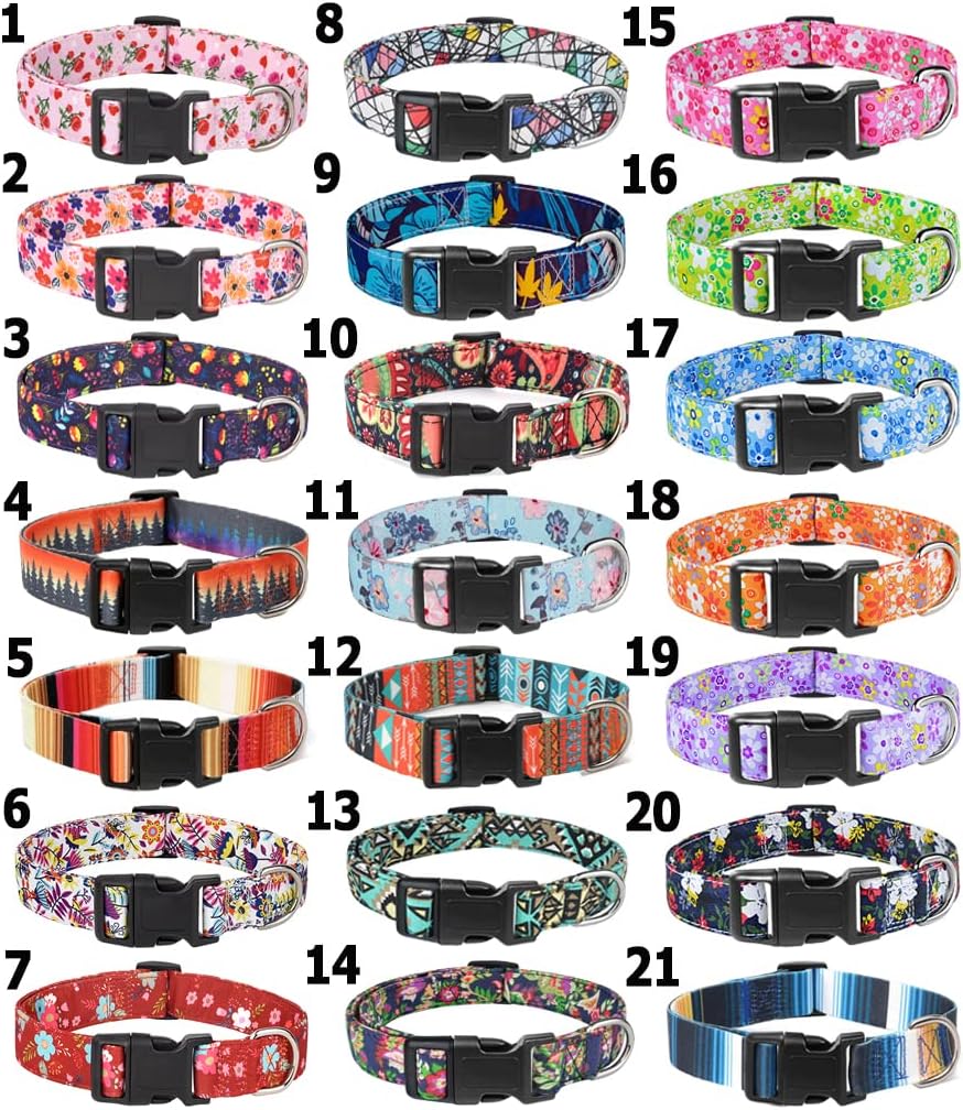 Moonpet Dog Collars for Puppy X-small Small Medium Large Dogs - Image 3