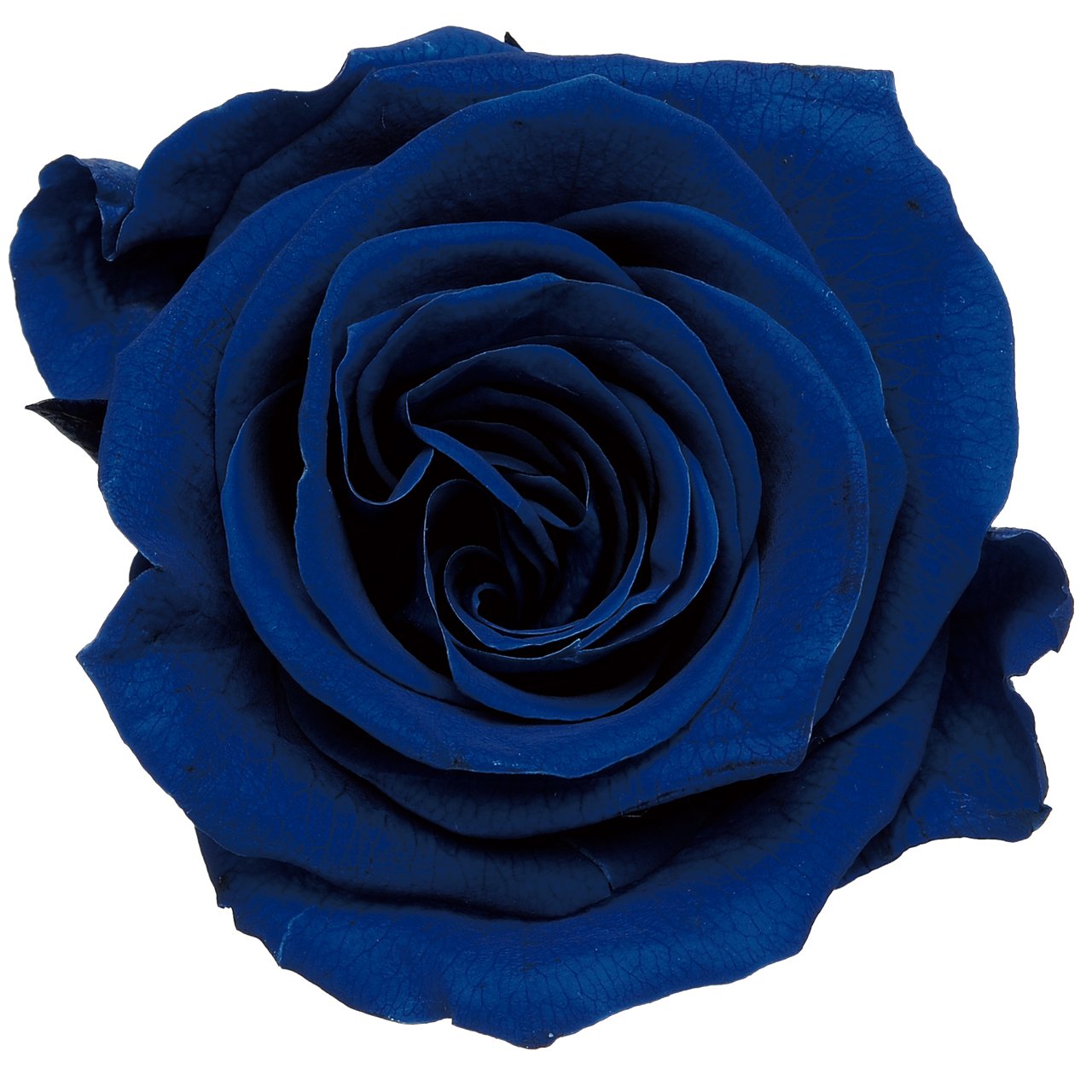 その他 Rose marry Cotton Gauze Long Dress | Pasand by ne Quittez pas | パサン