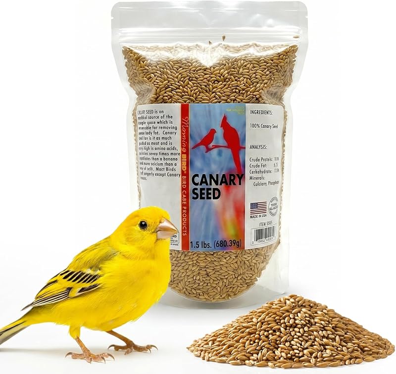Semente de alpiste para aves Morning Bird, 13% de proteína bruta, 1,5 lb (689 g)