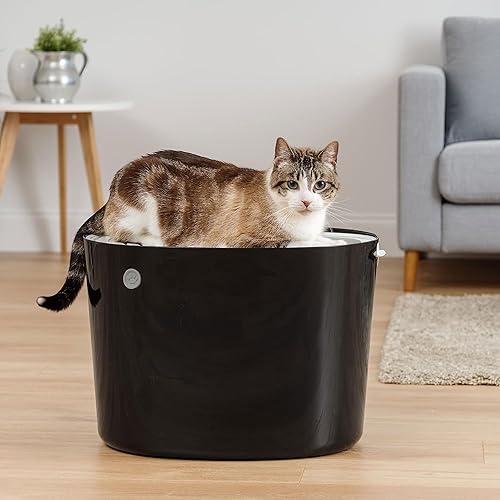 Vista 31 de IRIS USA - Caja de arena grande para gatos, con escudo de dispersión y pala; bandeja de arena para gatos, con parte superior abierta; color negro