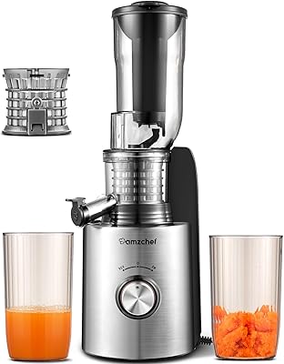 Juicer machines, AMZCHEF Compact Slow Masticating Juicer, 3.3" Wide Chute Cold Press Juicer, Upgraded Non-Clogging Filter, High Yield Juice, 250W Power (Silver)