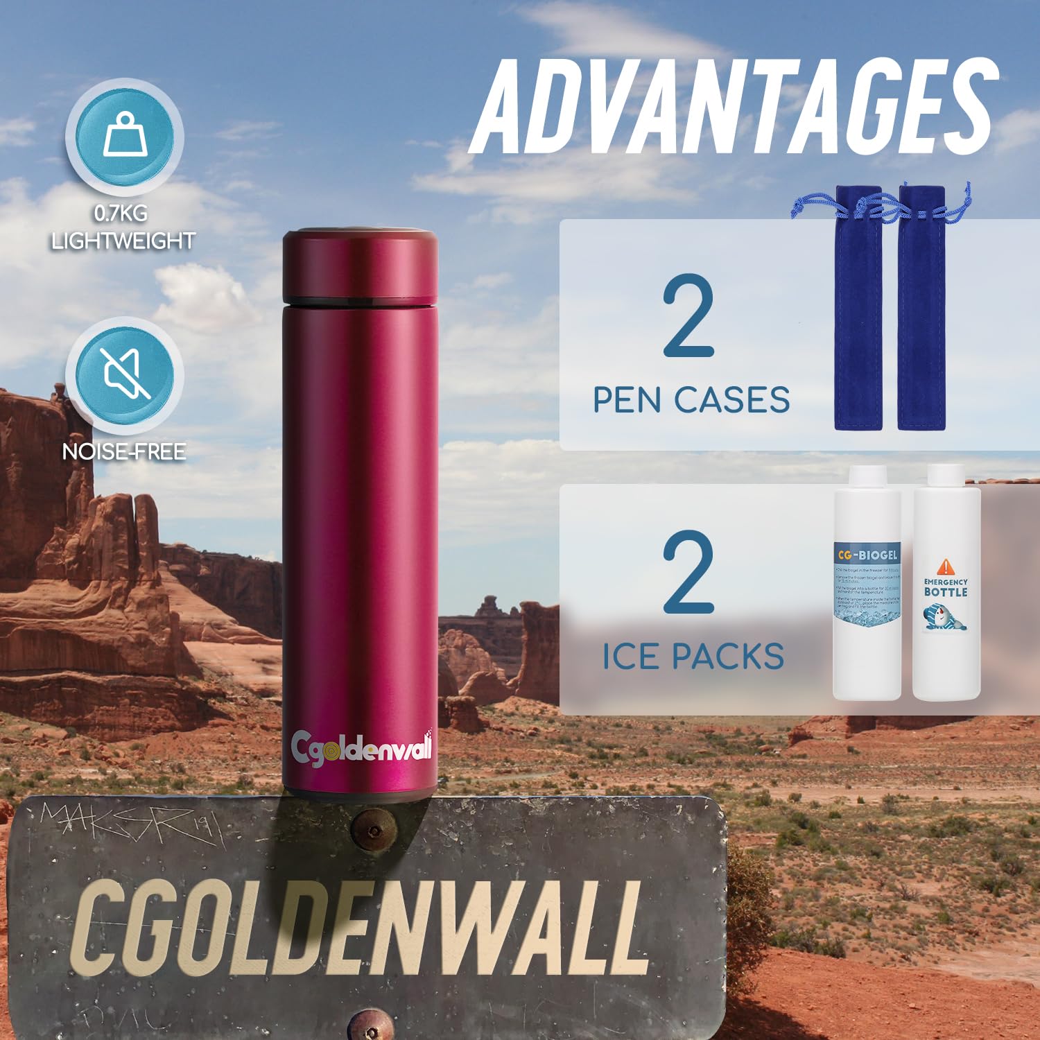 CGOLDENWALL 60H Custodia per viaggio del refrigeratore dell'insulina per la borsa frigo isolata per farmaci 2-8℃ compatta per diabetici, scatola frigorifera medica portatile approvata TSA con 2 pacchi di ghiaccio