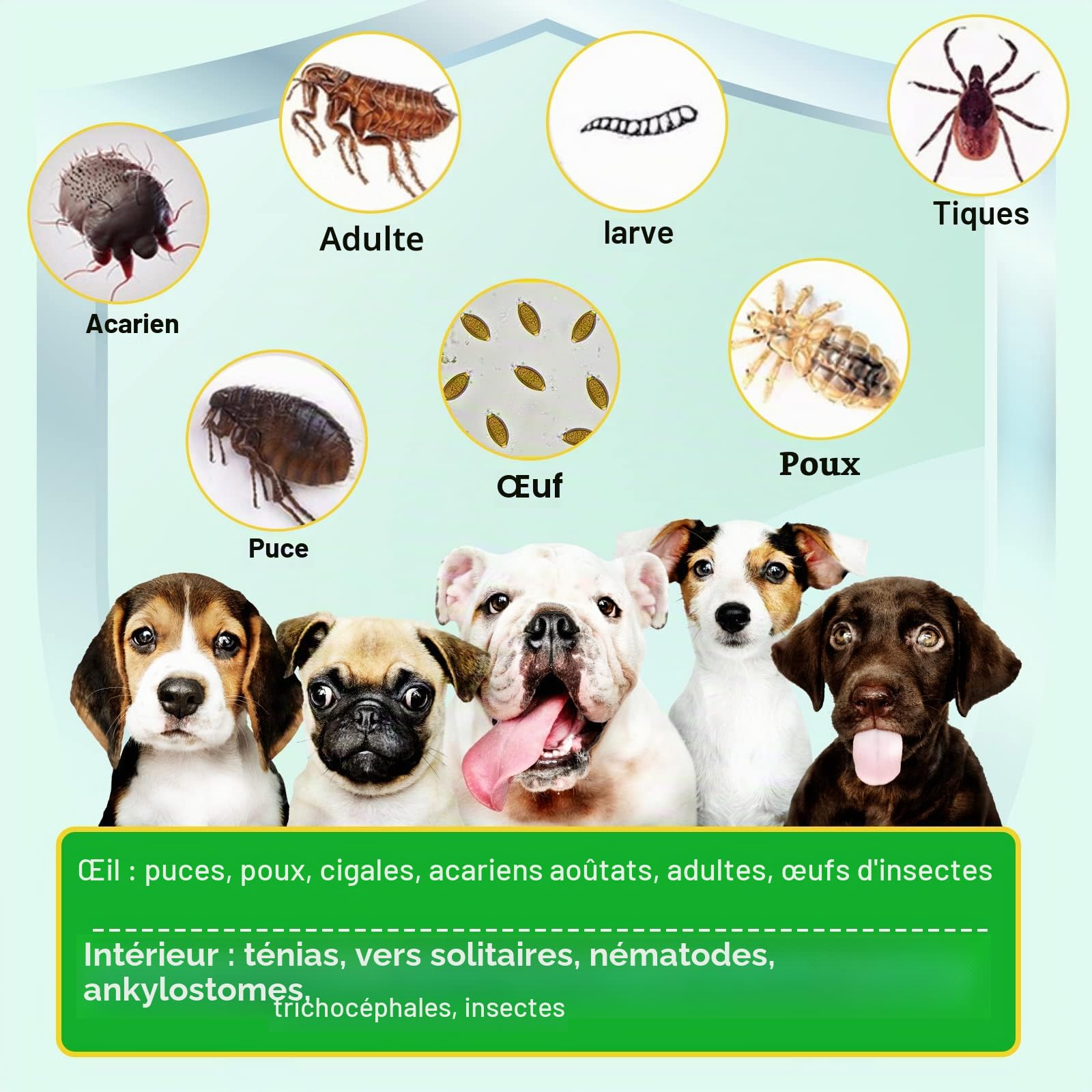 Chips Et Tick Prevention Chews Pour Chiens, 150 Pcs Chiens Flea & Tick Control Supplément - Pilules souples Orales Puces Pour Chiens - Traitement Pour Petits Chiens, Moyens, Grande Taille