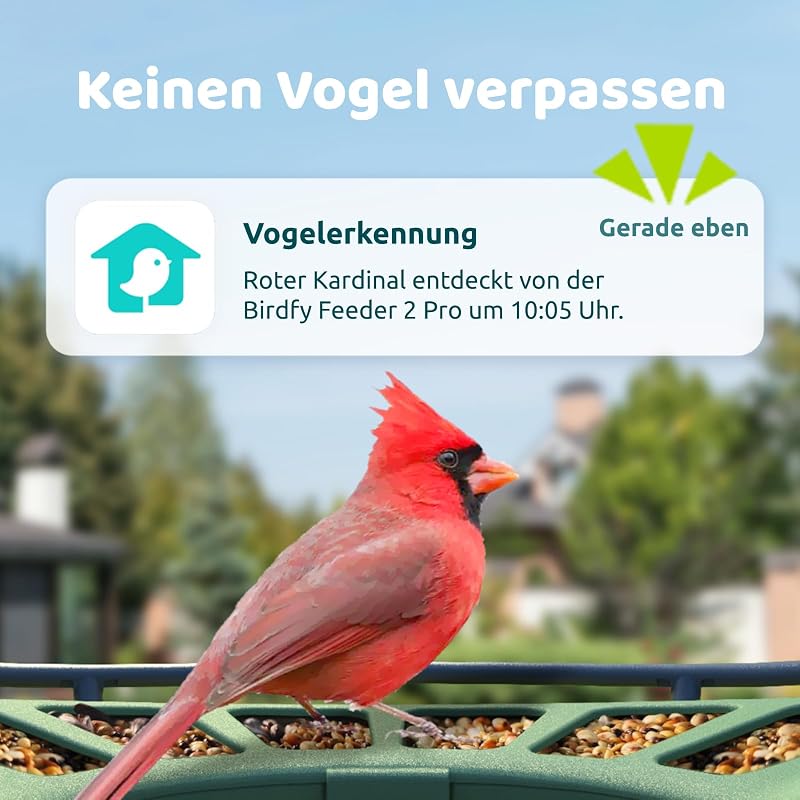 Birdfy 2 Pro Madáretető 2K Dupla Kamerával, Élő Madárfigyelés, AI Madárérzékelés, Vezeték Nélküli Etetőállomás, Lassított Videó, Automatikus