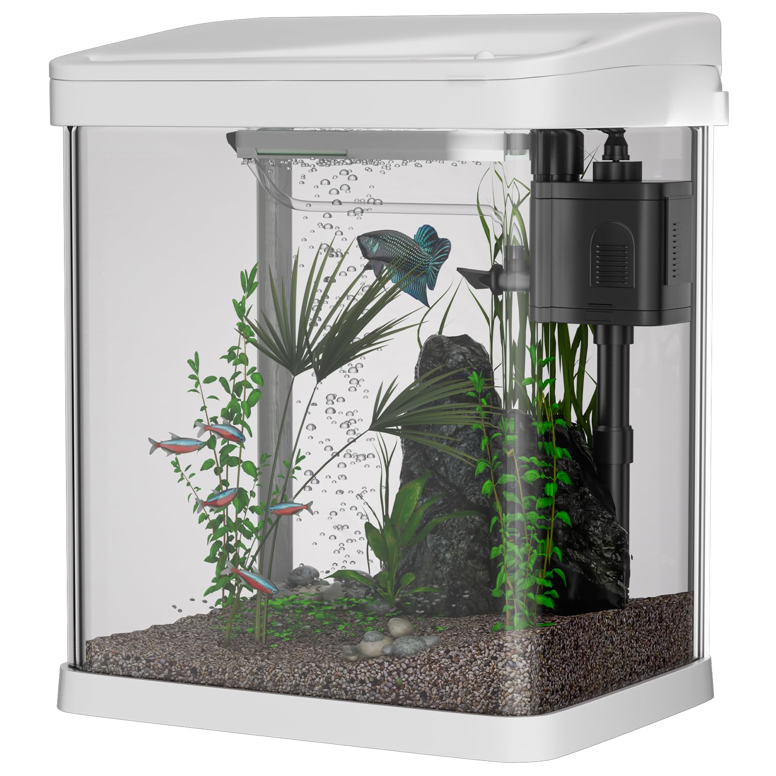 Acquario in vetro trasparente 9L con illuminazione a LED, sistema di filtrazione con pompa bianca per pesci tropicali