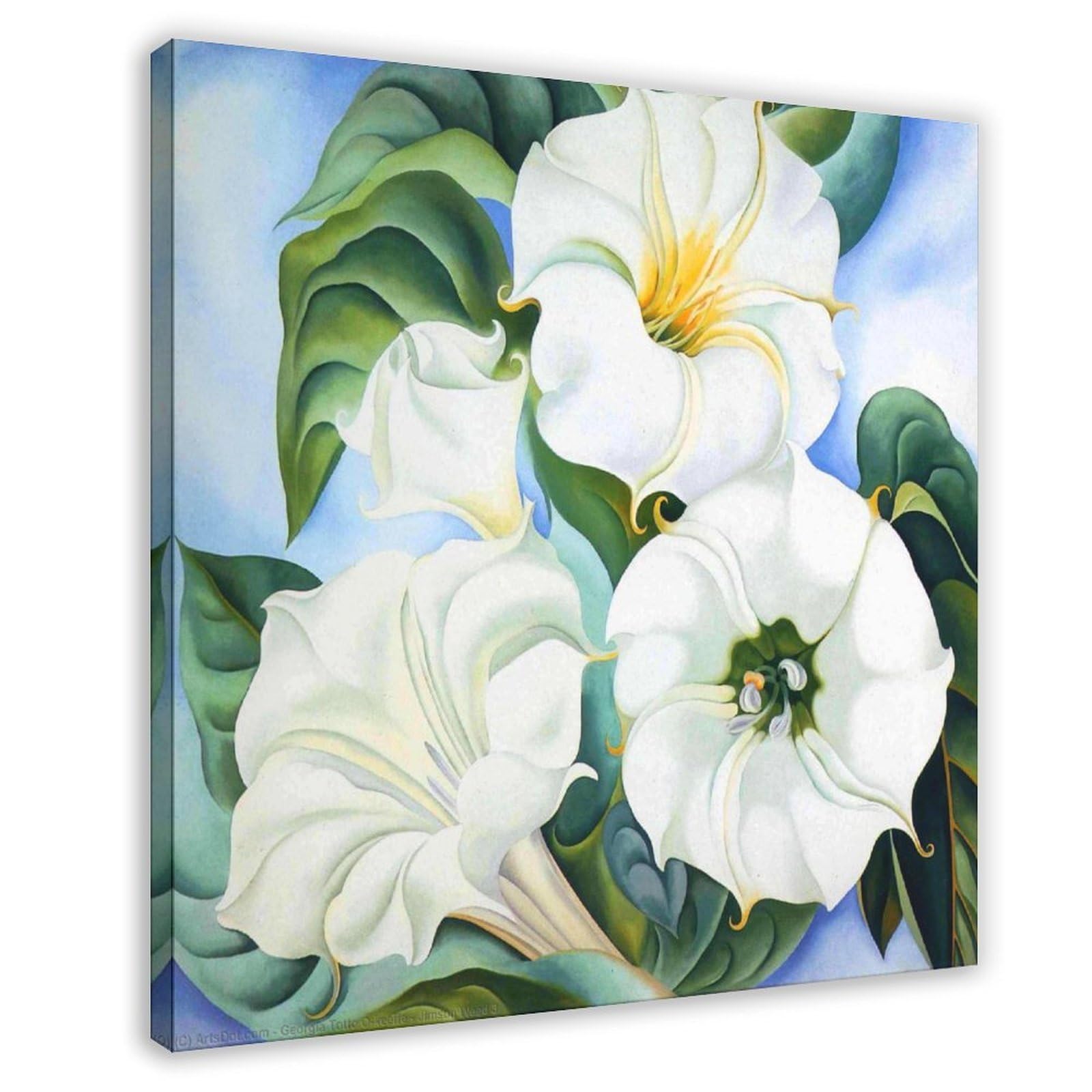 WCYB Jimson Weed by Georgia O'Keeffe Prints Posters Canvas Deco Paintings Wall Art For Office Living Room Frame 16" L X 16" W