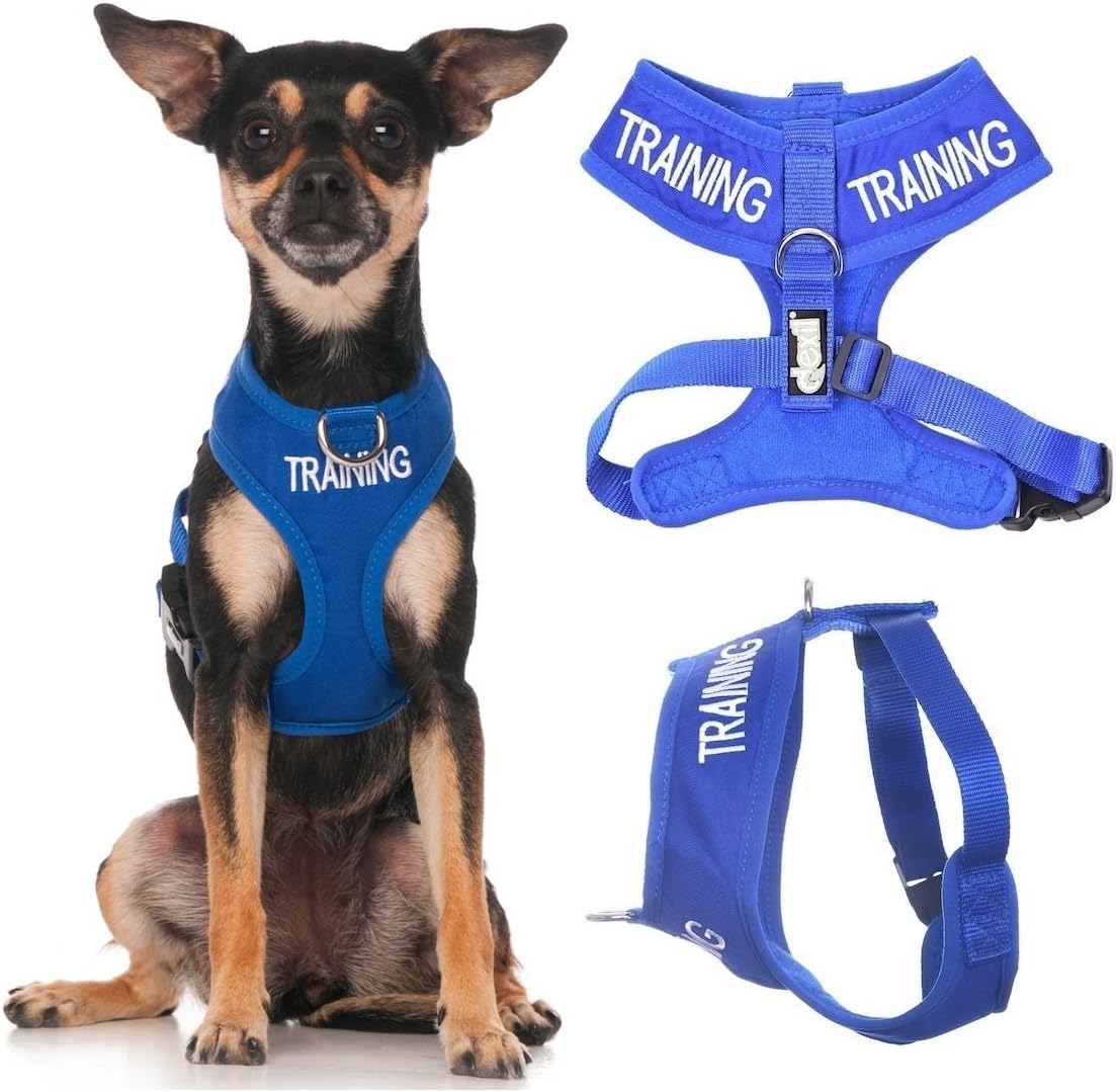 TRAINING (Dog In Training/Do Not Disturb) Blue Color Coded Non-Pull Front and Back D Ring Padded and Waterproof Vest Dog Harness PREVENTS Accidents By Warning Others Of Your Dog In Advance (XS)