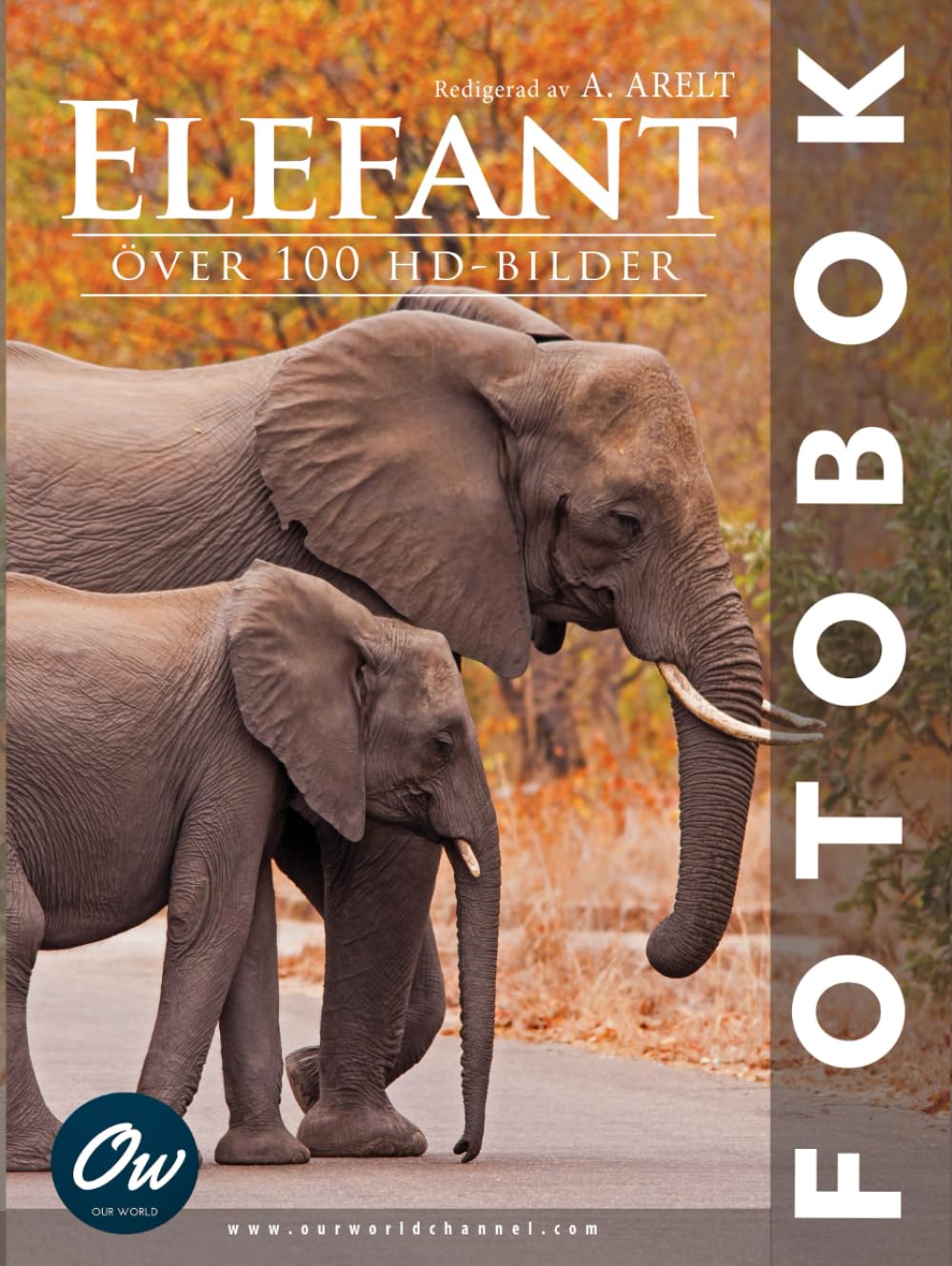 Livre photo éléphant original à offrir lors d'une baby shower