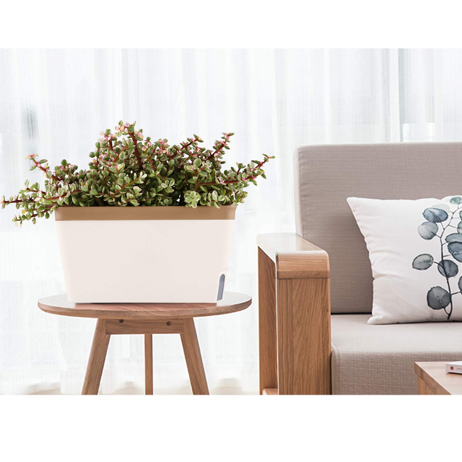 T4u Maceta autorriego Rectangular 27 cm, Set 3, maceteros Decorativos Interior, Plantas pequeñas hogar Oficina, riego reducido, Uso práctico, no Apto Vegetales Grandes sensibles Humedad