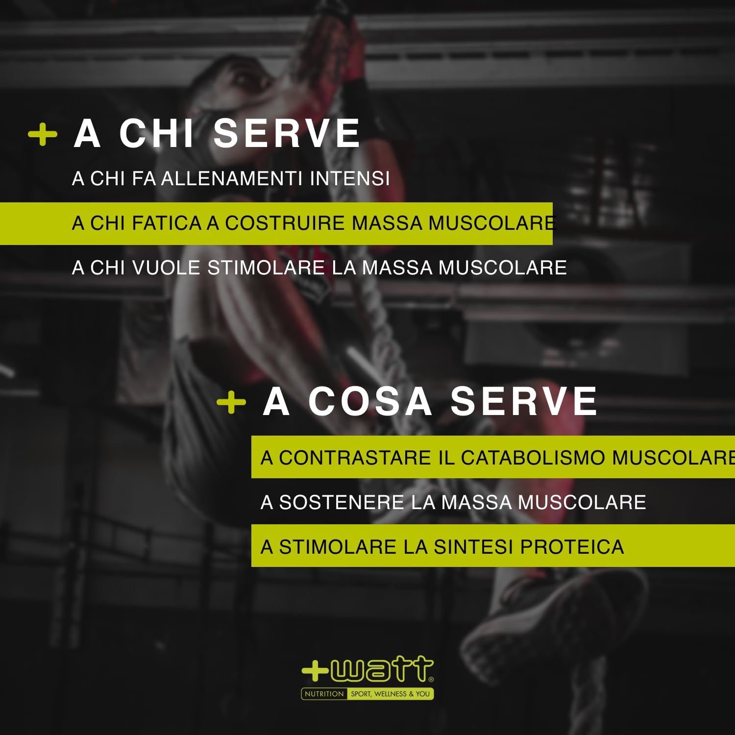 BCAA+ 8:1:1 - Integratore di Amminoacidi Ramificati a Sostegno del Recupero Muscolare - Formato: 200 compresse