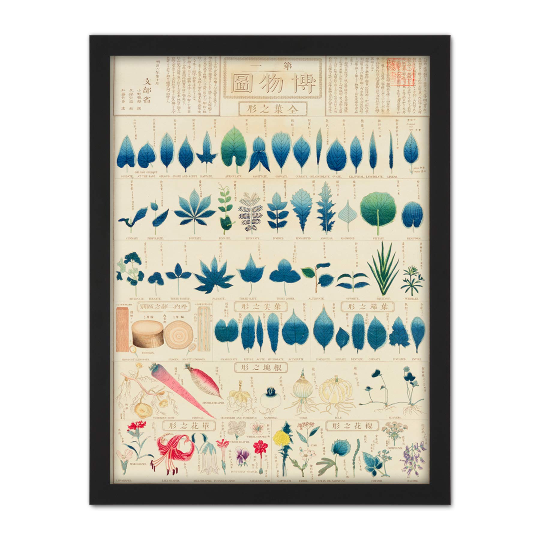 Artery8 Kato Chikusai Species of Leaves Japanese Artwork Framed Wall Art Print 18X24 Inch