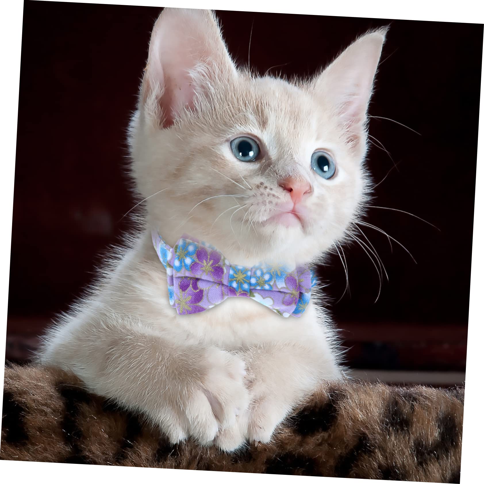 Toddmomy 9pièces Collier Réglable pour Chat avec Clochettes Et Nœud pour Animaux De Compagnie Ajustable Et Stylé