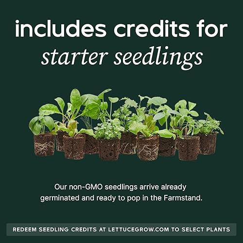 Miniatura 5 de Soporte para cultivo de lechuga, sistema de cultivo hidropónico, sin bisfenol A, grado alimentario de la FDA, compatible con CA Prop 65, ideal para