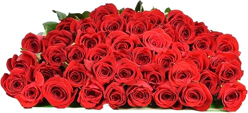 Elige tu propia fecha de entrega 50 rosas rojas a granel flores frescas Diseñado por Arabella Bouquets Flores frescas cortadas de granja, regalos