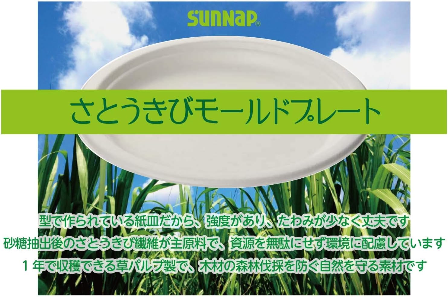 Sunup Sugarces Pulp Mold 50 Sheets Paper Plates [Safety Quality] 7.1 inches (18 cm), 50 Sheets