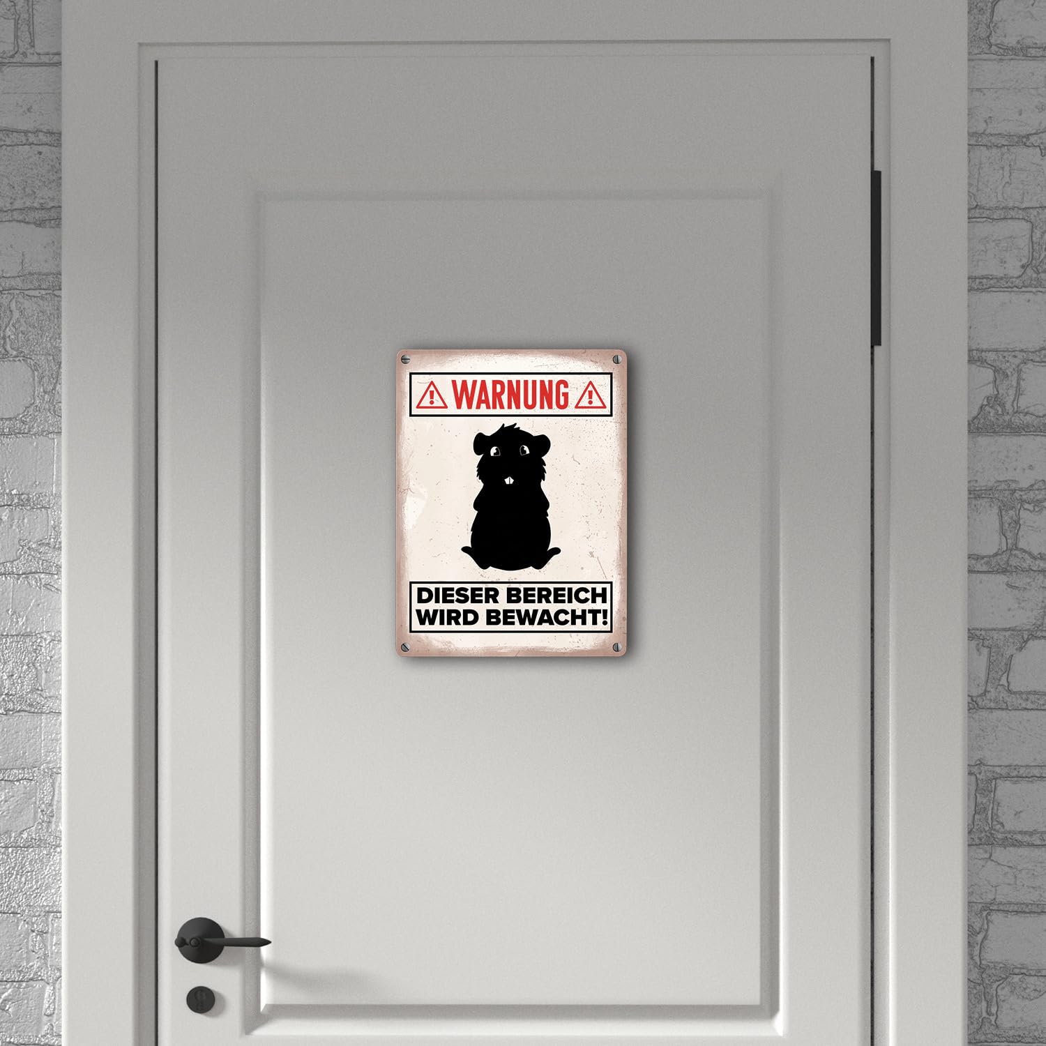 Meerschweinchen Spielzone Schild - 20x30cm Metallschild Wetterfest Für Garten & Zimmer