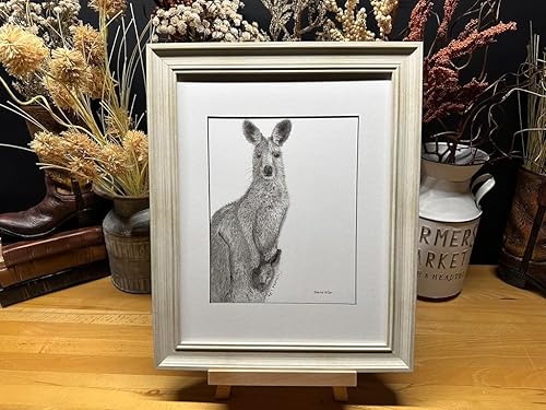 Kangaroo Australia Nature Wildlife Graphite Pencil Art Sketch Drawing Print Picture Limited Edition Titled 'Cradled Life' by David Allen (11x14