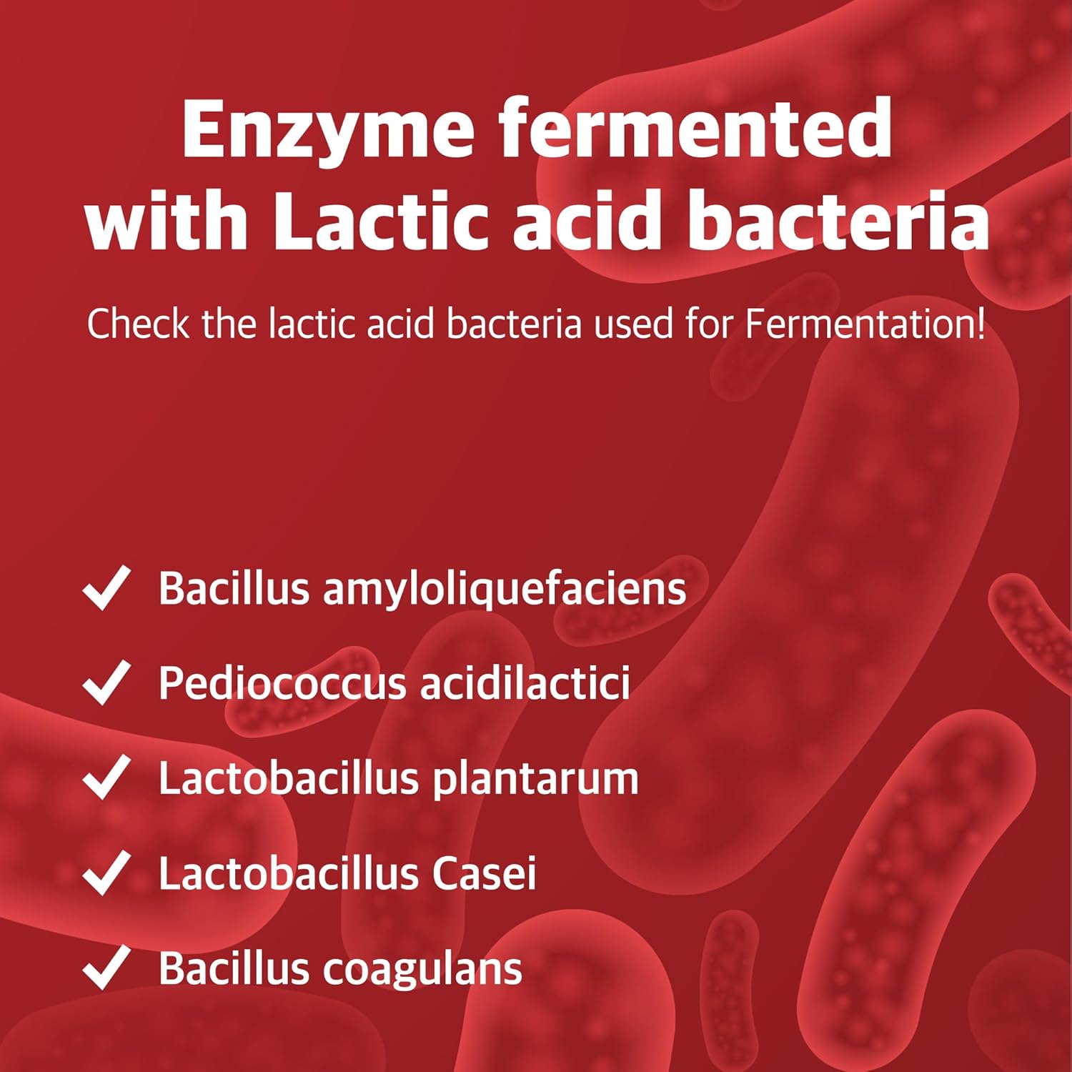 ILO Kamut Enzyme Complex – Digestive Health and Natural Metabolic Activation – Fermented Ancient Grains with Spicy Botanicals, 30 Sticks - Image 8