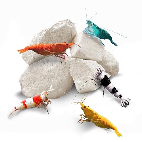 SunGrow Shrimp Rocks, Calcium, Magnesium Rocks for Crayfish, Hermit Crab,