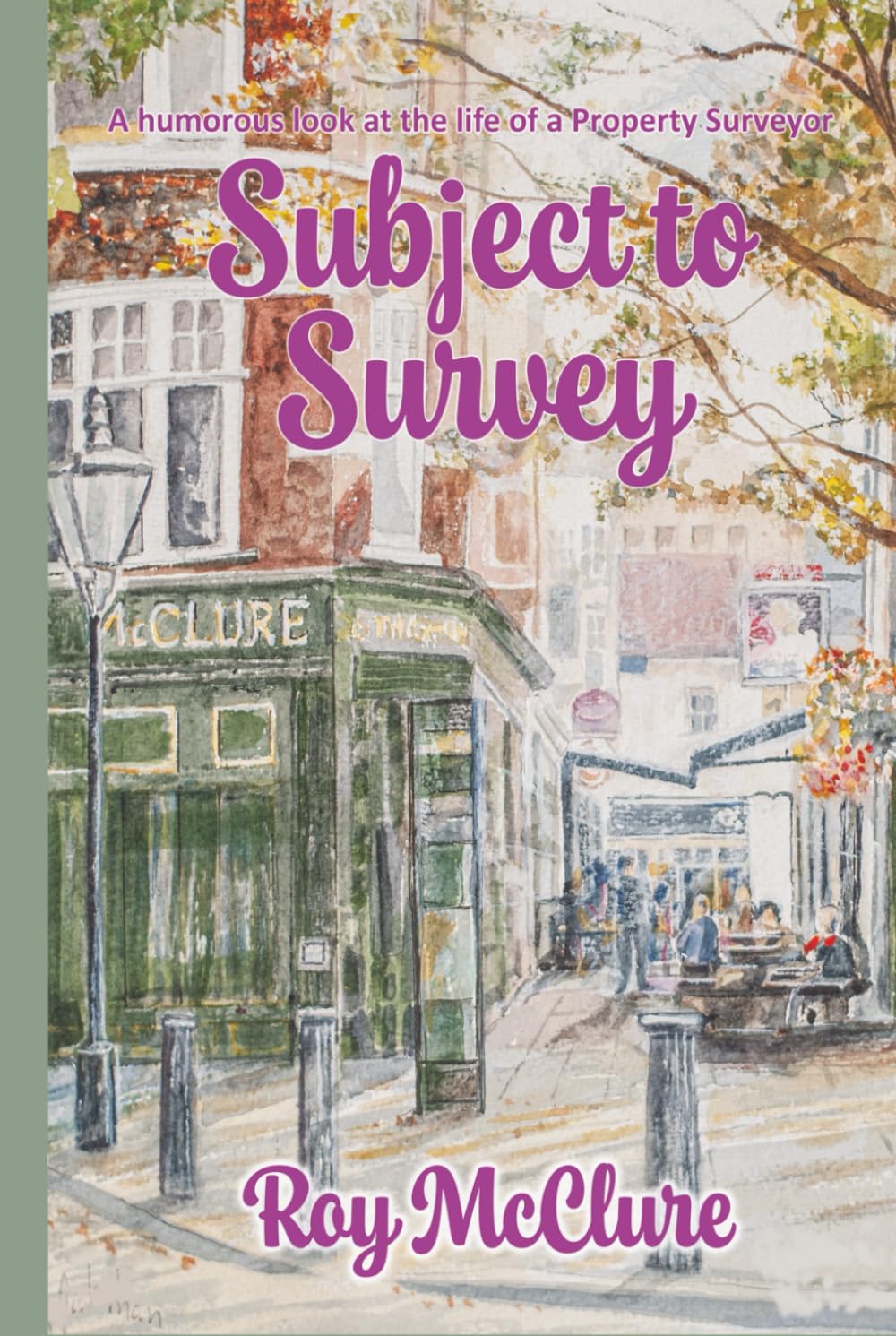Subject to Survey: A Humorous Diary of a Property Surveyor
