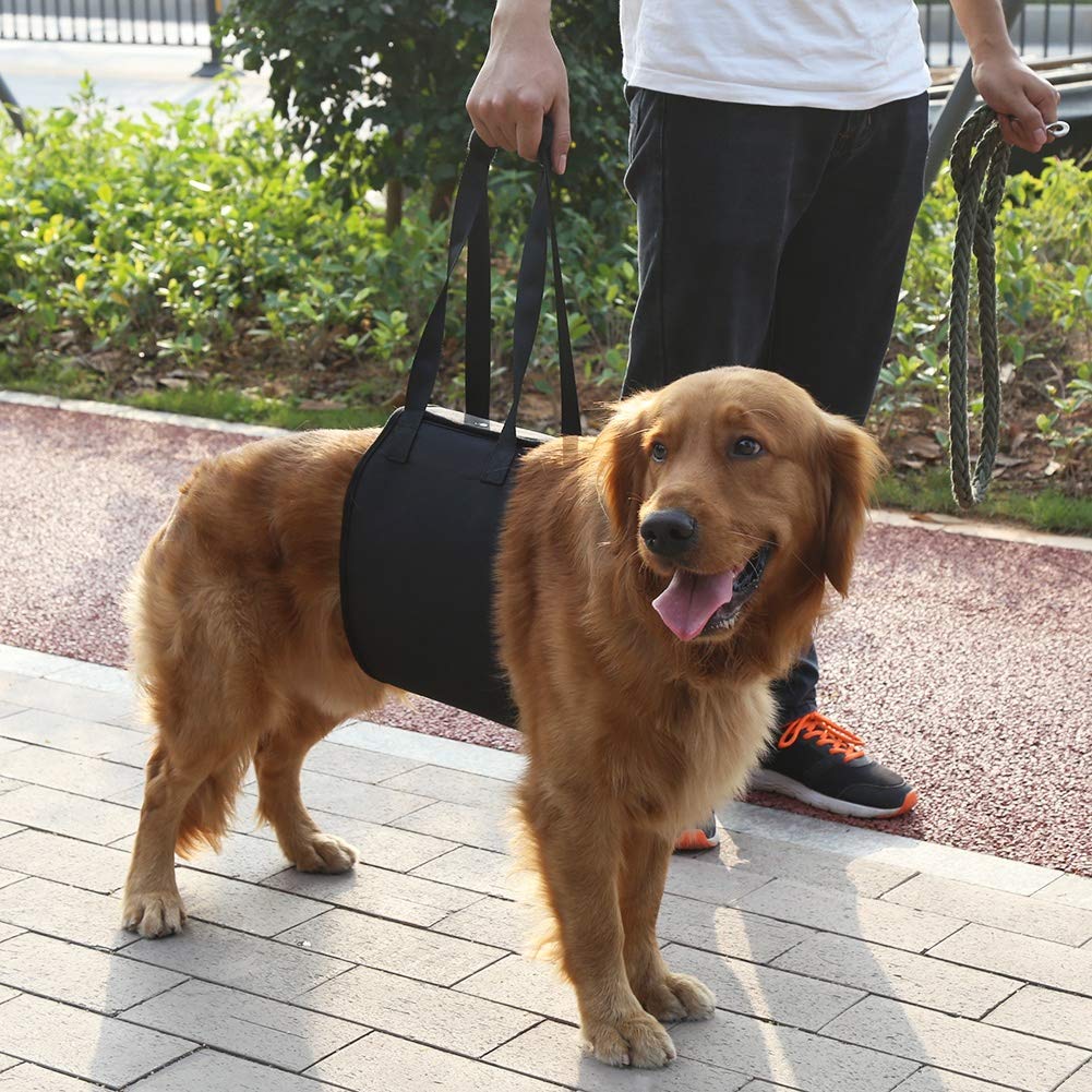 Amazon.co.jp: xuuyuu 介護ハーネス 老犬介護用 歩行補助ハーネス