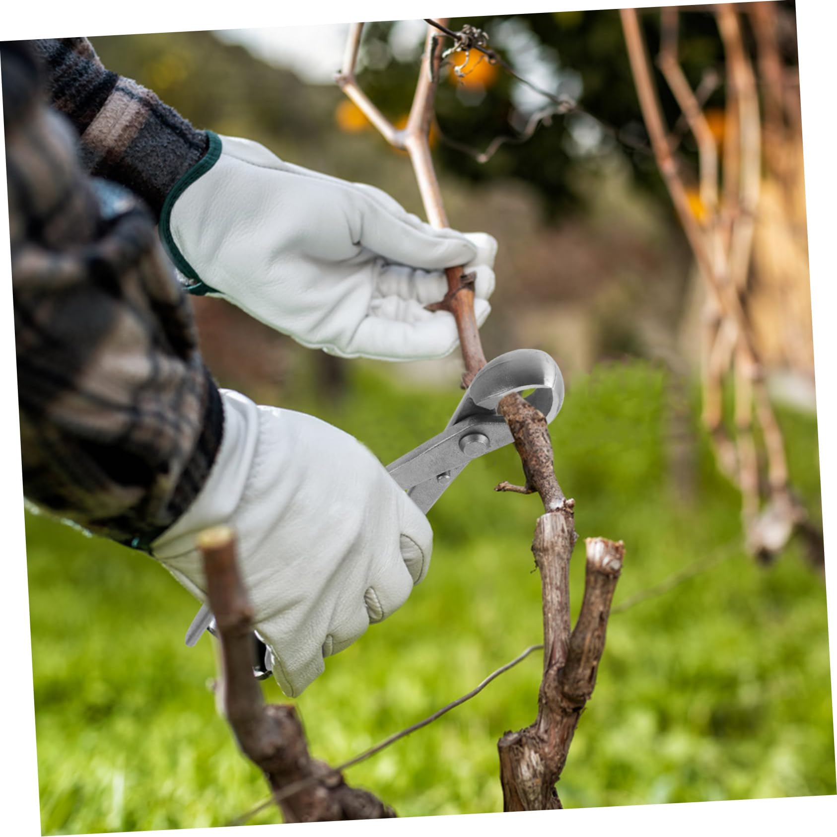 Bonsai Baumwerkzeuge Gartenschere Kohlenstoffstahl Präzise Bypass Gartenschere für Hobbygärtner Bonsai Künstler Vielseitig Einsetzbar