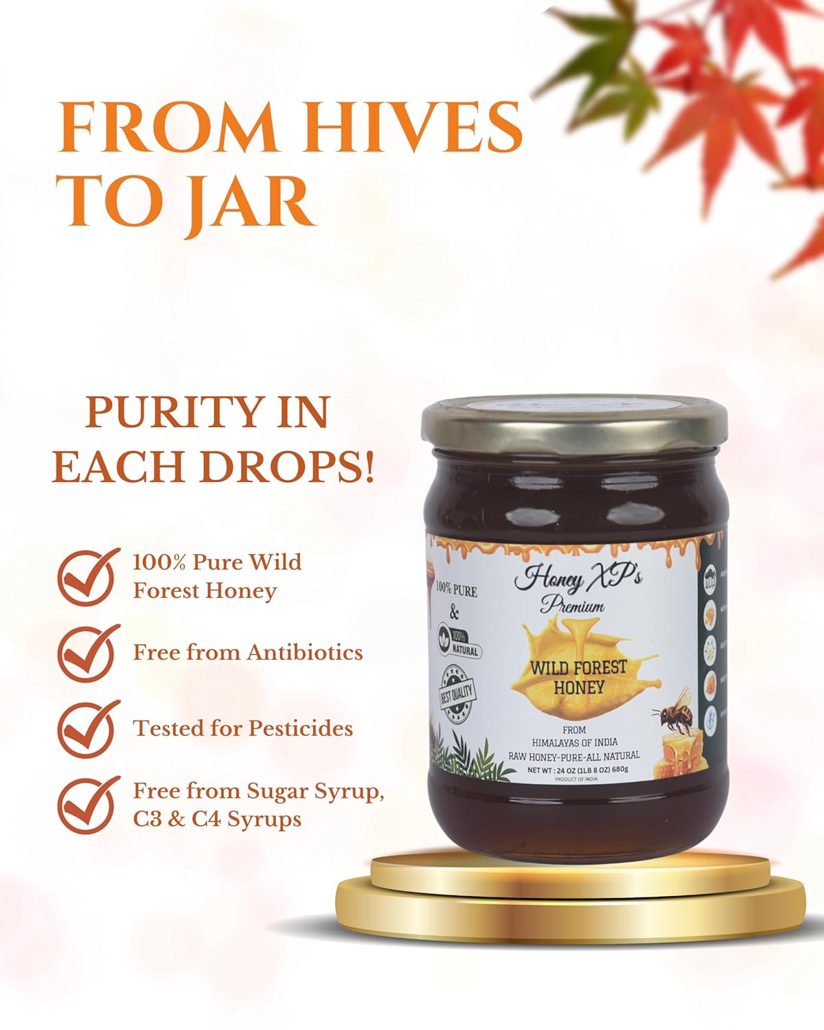 Honey XP Raw Himalayan Wild Forest Honey – 100% Pure & Natural – No Added Sugar – Unprocessed & Cold-Filtered – 680g (24 oz) Glass Jar – Harvested from Indian Himalayas