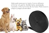 Ver la foto 4