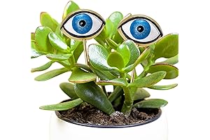 Tuitessine Garden Eyeball Picks: Keeping Watch Over Your Plant Kingdom