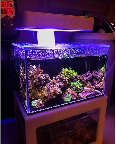Miniatura 6 de Acuario listo para micro arrecife de 40 onzas (blanco)  Pequeño tanque de peces de agua salada de escritorio con luz LED, sumidero, bomba  agua