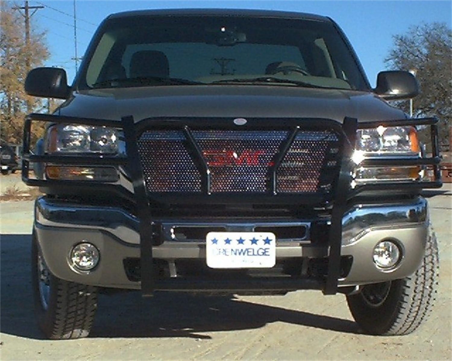 Frontier Truck Gear (200-30-3004 Grille Guard