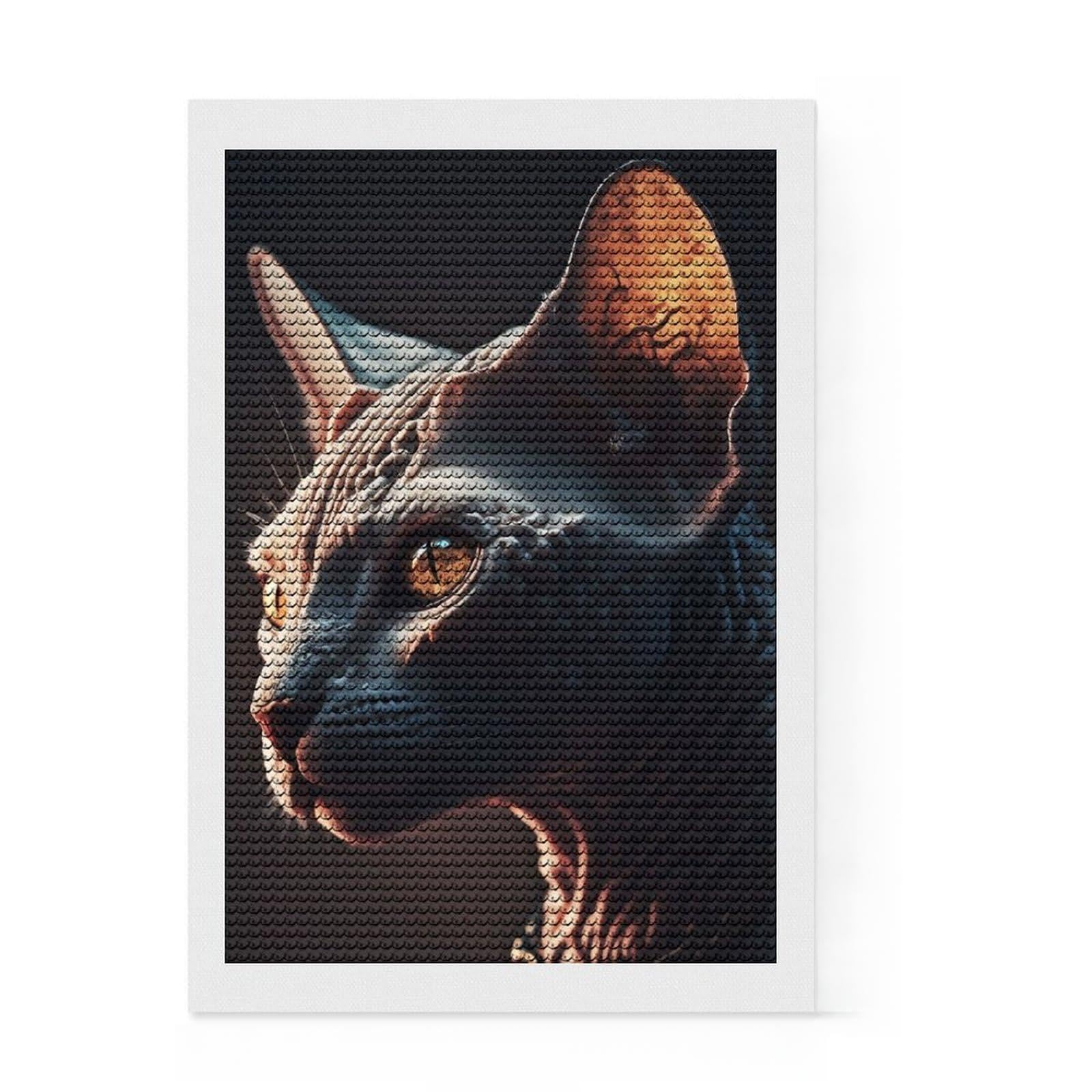 Junmoney Expression Cat DIY Diamond Art Canvas Kit 8"x12", for Women, Relaxing DIY, Leisure Activity, Home Wall Art, Festive Home Decor