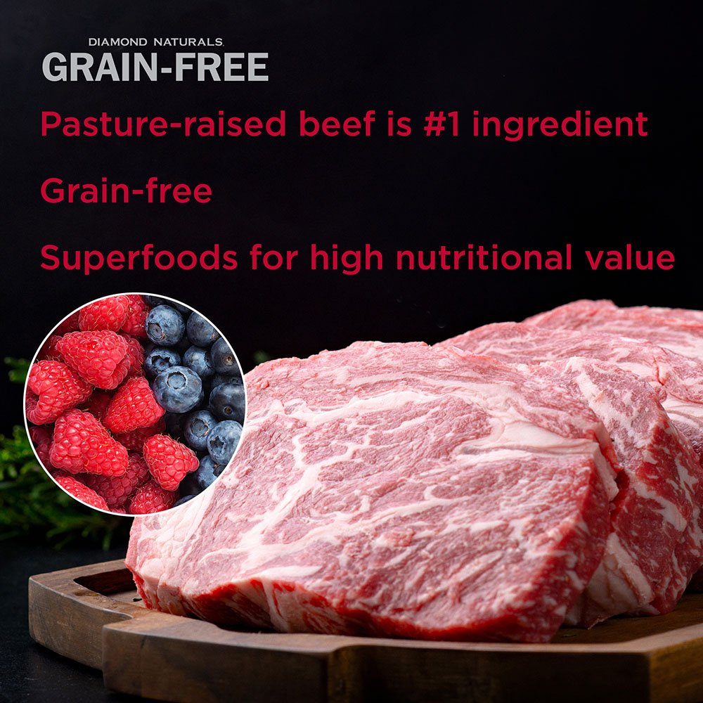 Diamond Naturals Grain Free Real Meat Recipe Premium Dry Dog Food With Real Pasture Raised Beef 28lb Pet Supplies Amazon Com