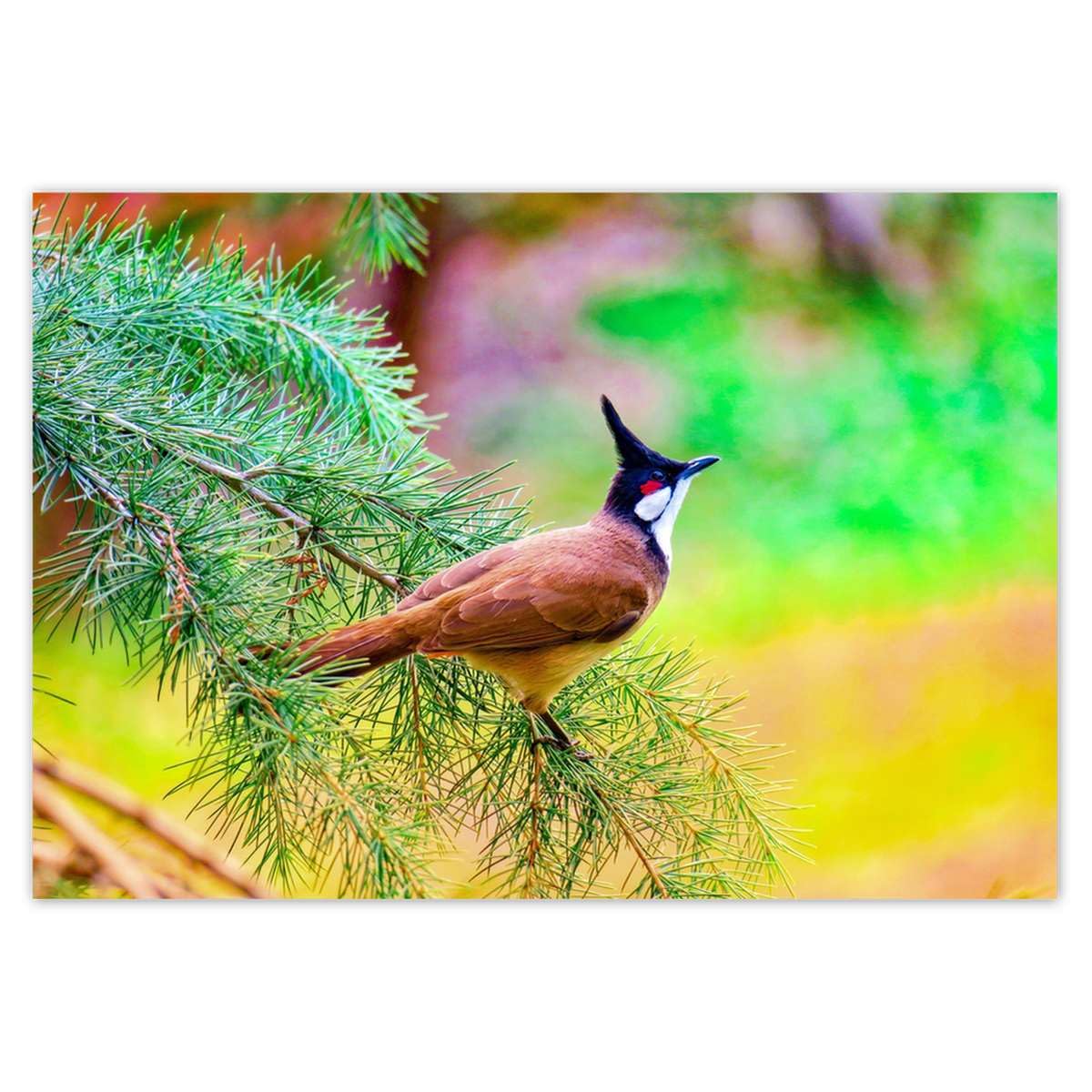 Papier peint intissé motif oiseau créez une ambiance nature zen chambre parentale