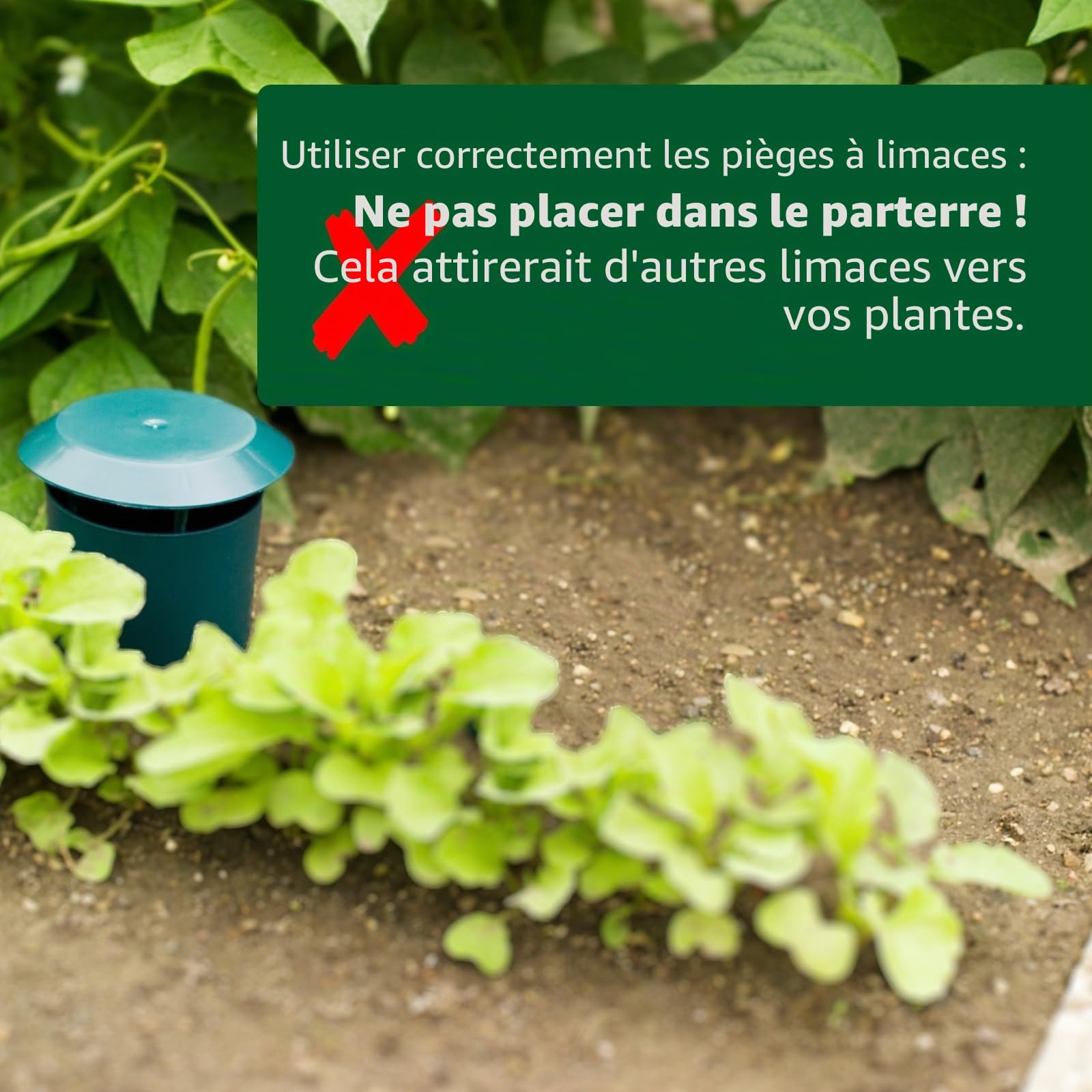 GARDIGO® Lot de 12 Pièges à Limaces et Escargots pour Jardin et Potager | Protection Plantes et Légumes | Réutilisable et Simple à Utiliser | Couleur Verte