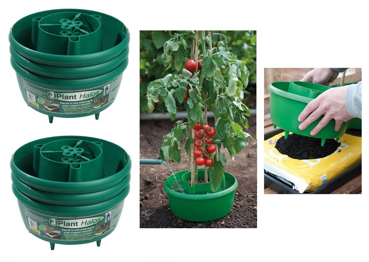 2 x Halo Tomato tubs Green