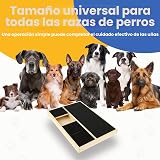 Ver la foto 6