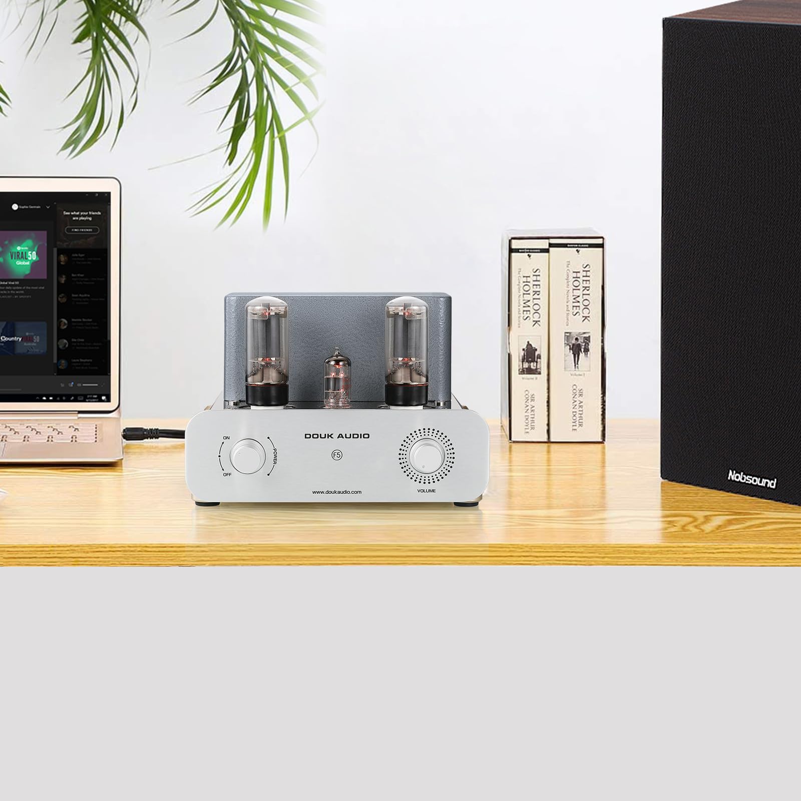 Amazon.com: Douk Audio F5 Pure Class A HiFi Vacuum Tube Amplifier