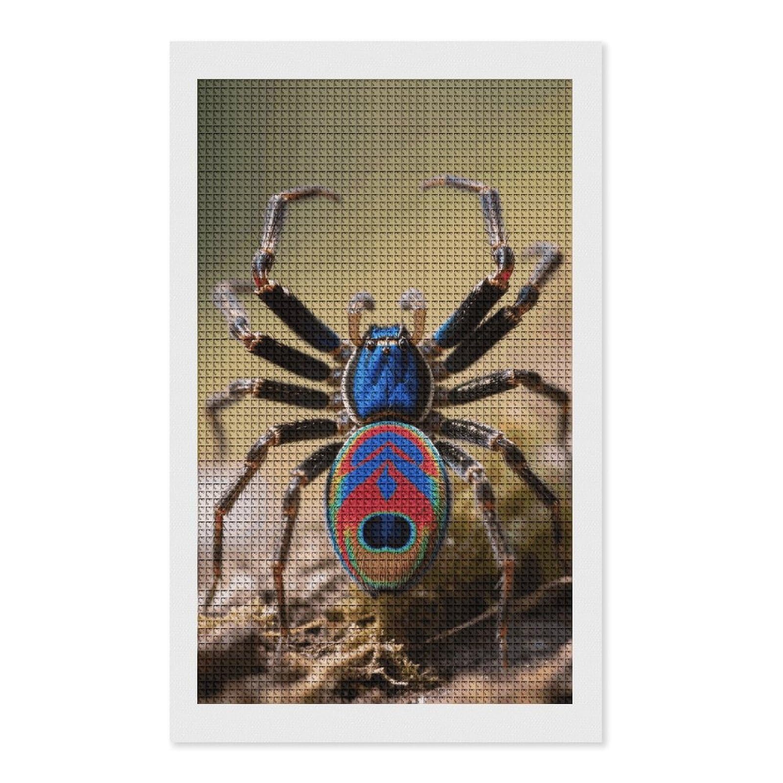 FodPand Peacock Spider 5D Diamond Painting Kits for Adults Beginners Full Drill Square Diamond Dots Pictures Gem Art Supplies for Home Wall Room Decoration DIY Craft Set Gift 12x20