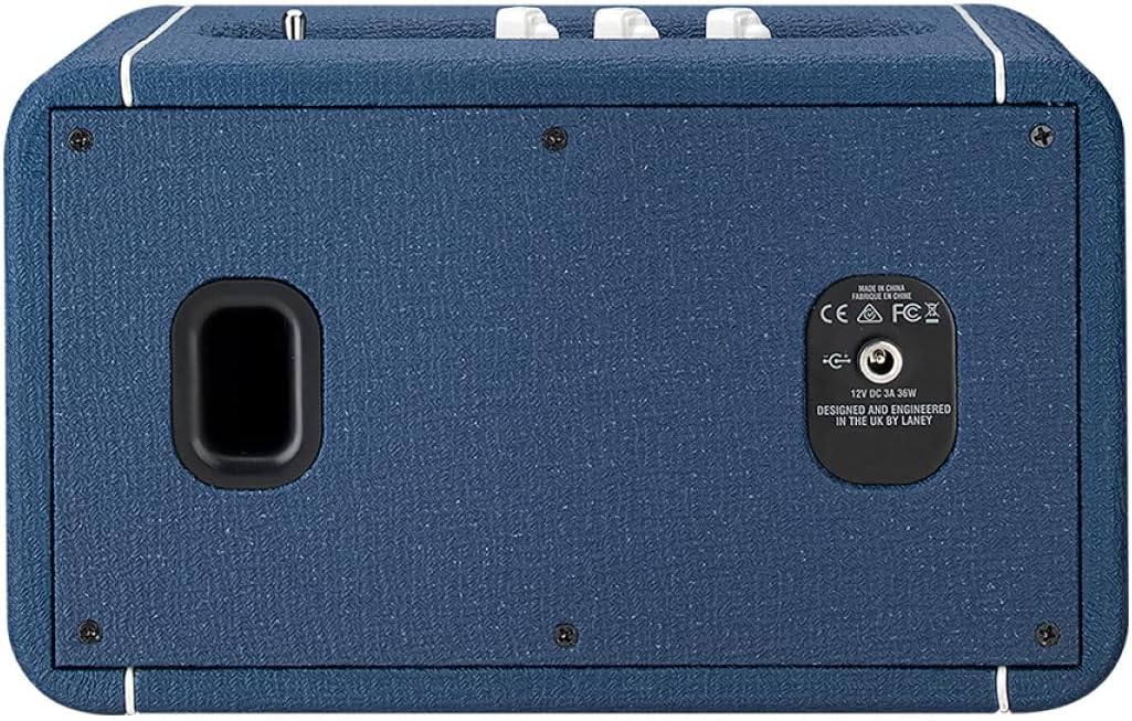 Lura view of Laney F67-LIONHEART speaker showing power input and regulatory marks