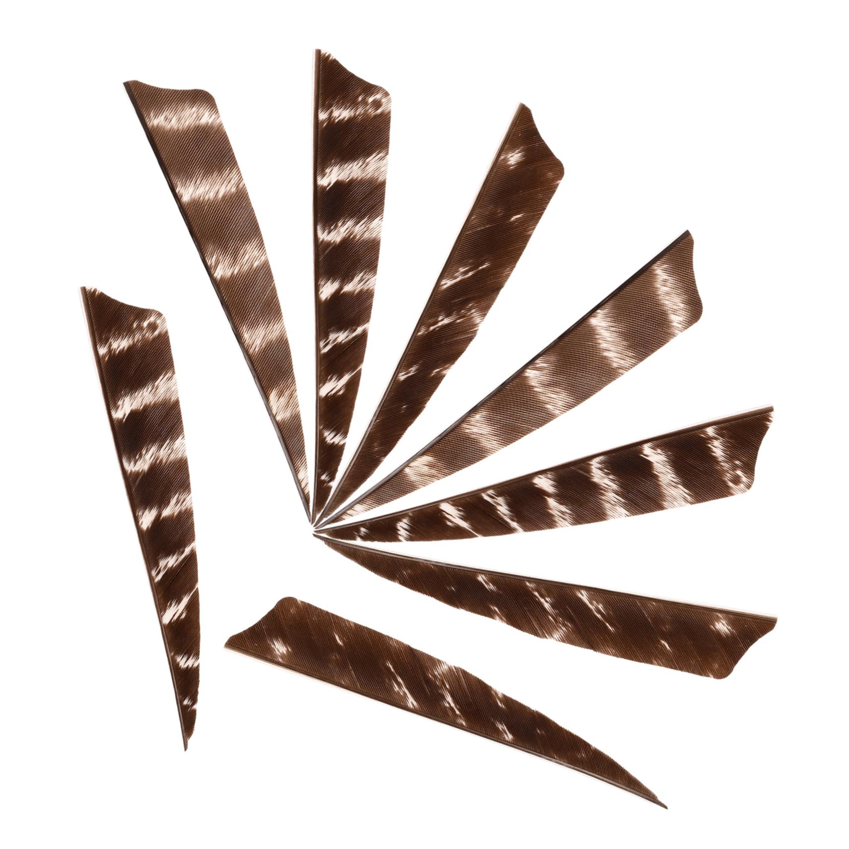 Toyvian 8Pcs Practical Arrow Vanes for Replacement Fletchings for Improved Stability for Outdoor Hunting and Training Comfortable Drawing