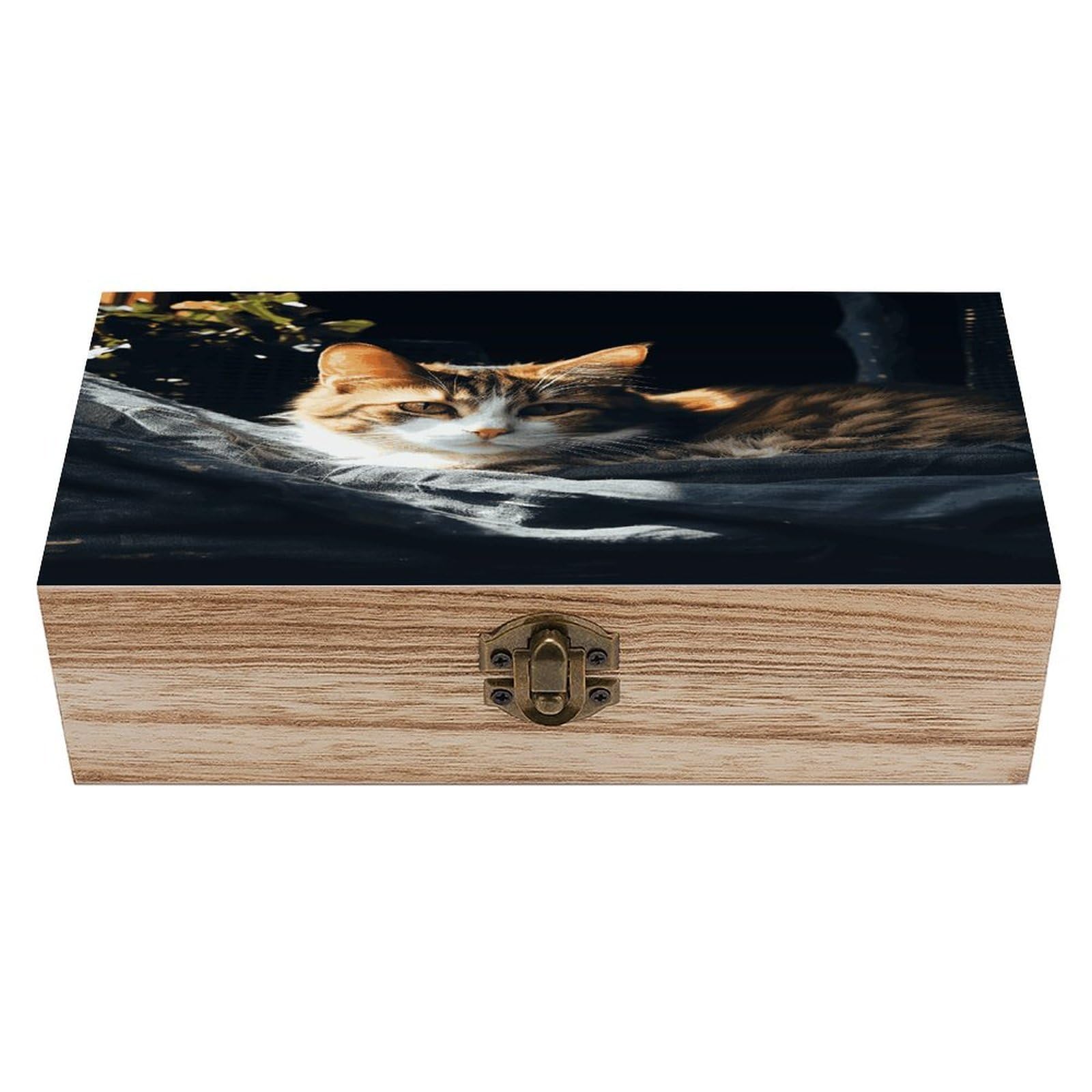 asbwuo Resting Cat Wood Keepsake Box Wooden Box with Hinged Lid